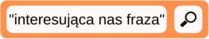 jak szukac w google