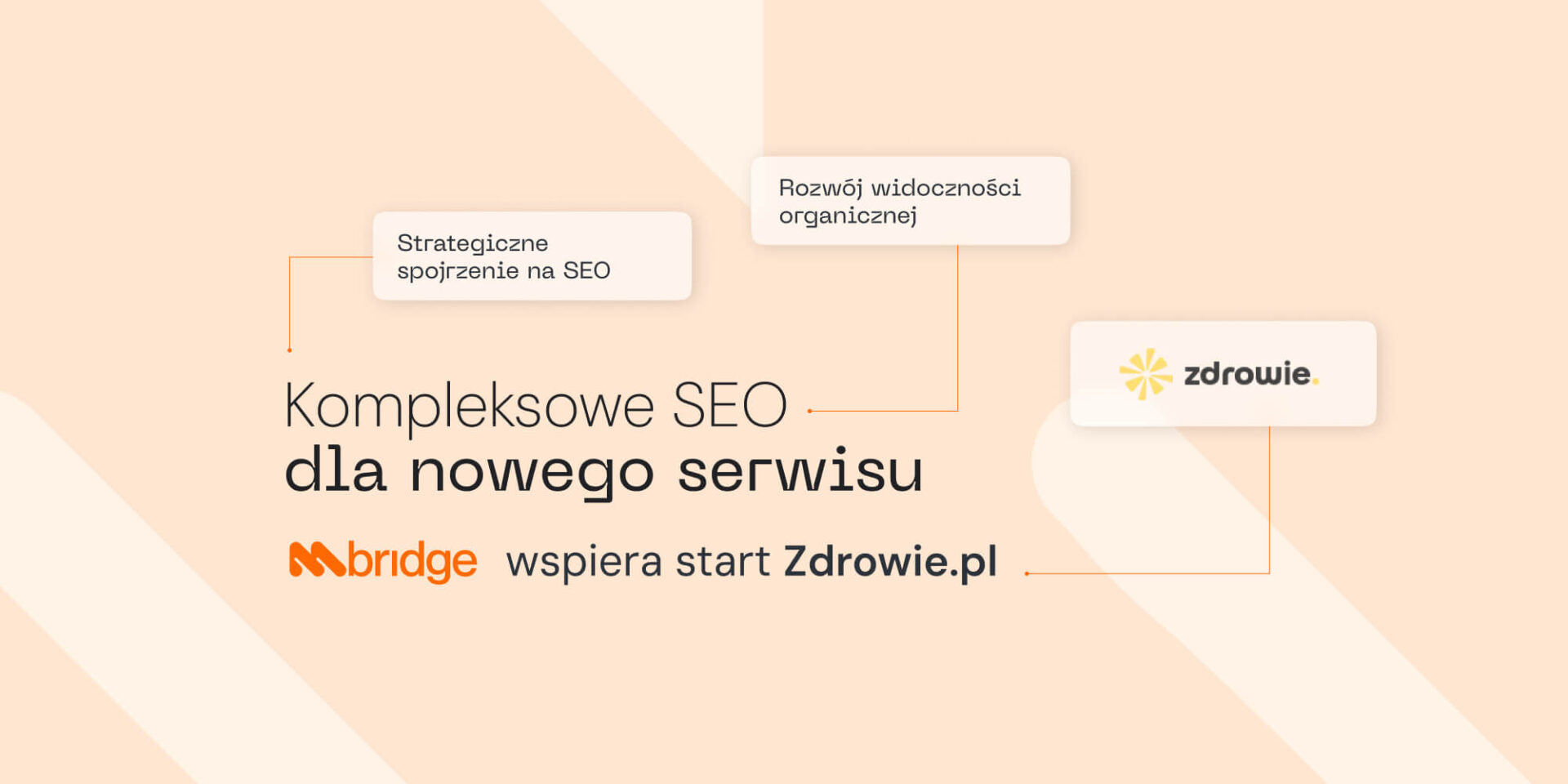 Cover kompleksowe SEO dla nowego serwisu. mbridge wspiera start Zdrowie.pl